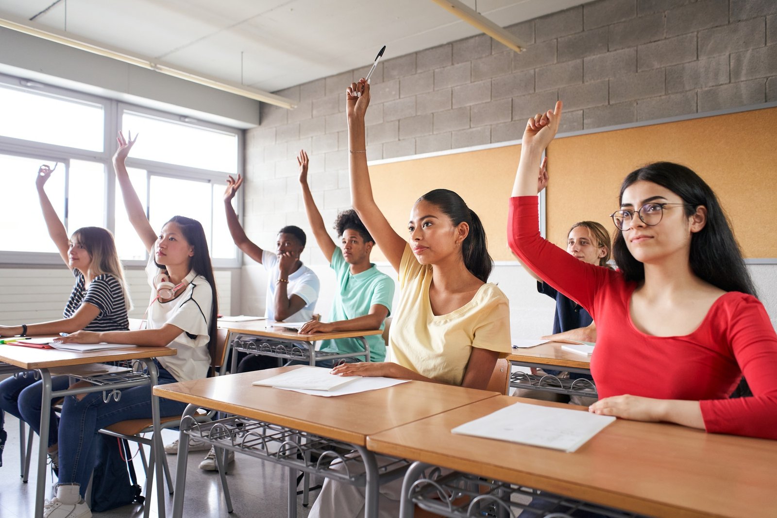 MSD Educação/MS